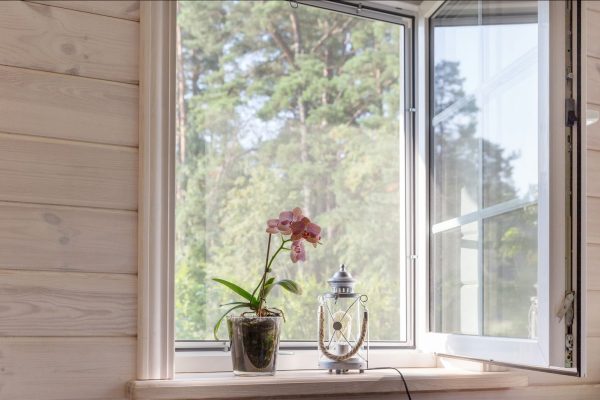White window with mosquito net in a rustic wooden house overlooking the garden, pine forest. Phalaenopsis orchid on the windowsill SSUCv3H4sIAAAAAAAACnSSu27DMAxF9wL9B0NzjPjZpN3arUO3Ah2CDrTE2EJkKdCjDwT590qWVWhoN/OQuiQvfbm9KQoygOGUPBSXEPmYC+GM1WC5kh5Xm5VrlAx1TpBxqzQHkcMBLJ0kzOihdEIEfF2SxFiwzqAJzVZEweLoNSL8lYgTHWJcpMSS9C98ijwBPY1aOcnM9hW/rNNeYpPVGTeEuhduKAoBEpUzJOVj93+kHyWfQZjtGxdM8CP+JfssDVKbCcaP9+QCjCjp97JoZoBGgRANOMRScvq0qOfcEnCMq8yND0X9NB60mdJZc8rlmD1Tdlquk55R743VYQSSFiBCqTMMIpzm6DUx8QmMCVYmnjWi/l9Qc9ZHKrsssKoS5i8YwrptmrraVX3VdF3btG23FsSrT9zrLOMkIR/TE2f56jxMQIa+3+13VVfWx6EqO9rflbBnbUkpdt099KyGyht//QEAAP//AwA7mY+RvwIAAA==